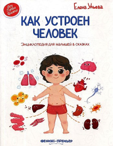 Как устроен человек? Ульева