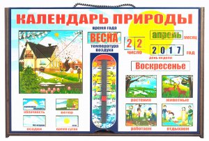 Календарь природы. арт.7897 дерево