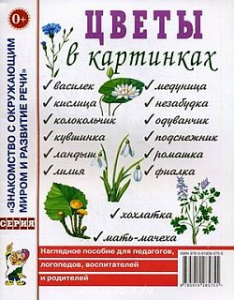 Цветы в картинках. Наглядное пoсобие для педагогов, логопедов. А4