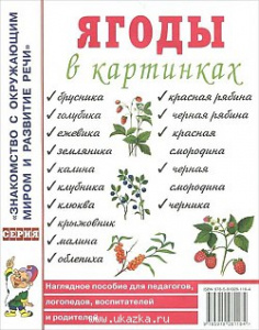 Ягоды в картинках. Наглядное пoсобие для педагогов, логопедов. А4