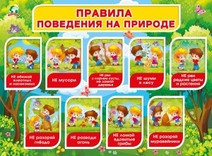 071.349 Правила поведения на природе. Плакат А2