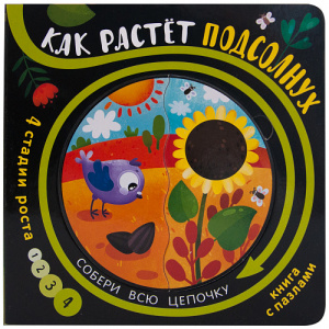 Собери цепочку. Как растет подсолнух. МС