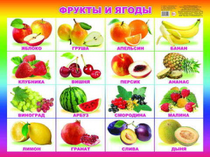 Фрукты и ягоды. Плакат А2 Леда