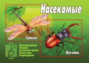Насекомые - игровой демонстр.материал. Бурдина