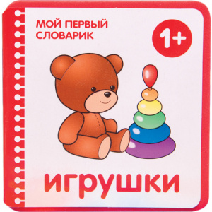 Мой первый словарик (в ассорт.)