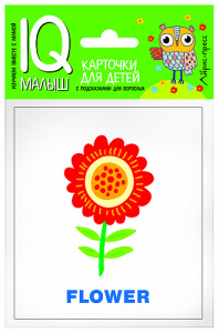 Умный малыш. ENGLISH. Растения. Айрис