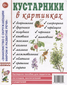 Кустарники в картинках. Наглядное пoсобие для педагогов, логопедов. А4
