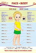 13438 Face. Body. Плакат А3  Сфера