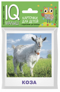 Умный малыш. Домашние животные. Айрис