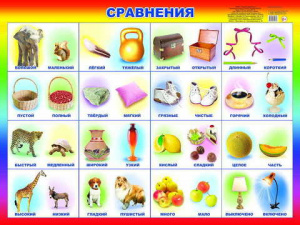 Сравнения. Плакат А2 Леда