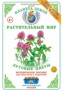Луговые цветы. Дидактический материал А4. Вохринцева