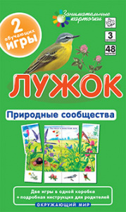 Лужок.Природные сообщества.Айрис