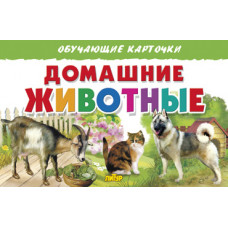 Домашние животные/ ЛИТУР \ ОБУЧКАРТ/