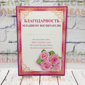 01.733 Благодарность младшему воспитателю