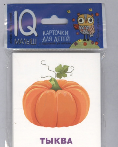 Умный малыш. Что растёт на грядке?