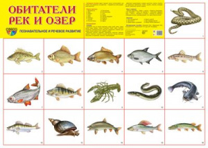 Обитатели рек и озер. Плакат А2 Сфера