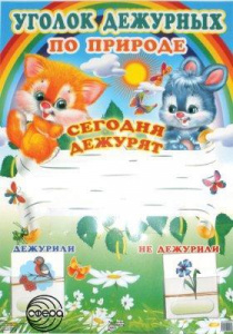 Уголок дежурных по природе. Сфера