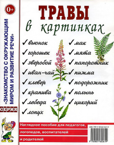 Травы в картинках. Наглядное пoсобие для педагогов, логопедов. А4