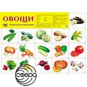 Овощи. Плакат А2 Сфера