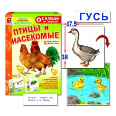 Самым маленьким. Птицы, насекомые - игра. Радуга