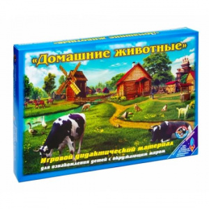 Домашние животные  Ракета 