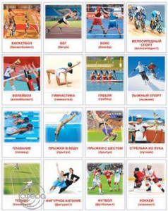 Виды спорта. 16 дем.картинок с текстом А5. Сфера