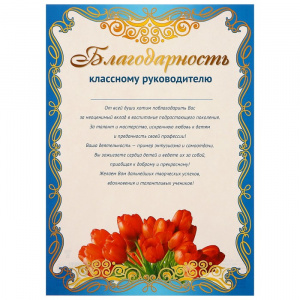 11185 Благодарность Классному руководителю