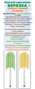 88.856 Русская красавица березка. Набор оформительский