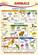 13437 Animals. Плакат А3  Сфера