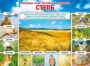 070.232 Природные зоны РФ. Степь. Плакат А2
