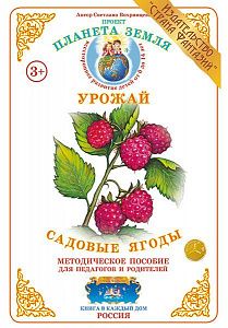 Садовые ягоды. Дидактический мат-ал А4. Вохринцева
