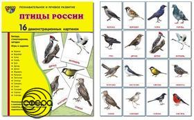 Птицы России. 16 дем.картинок с текстом А5. Сфера