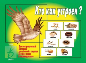Кто как устроен? - игра. Бурдина