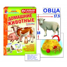 Самым маленьким. Домашние животные - игра. Радуга