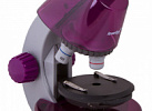 Микроскоп Levenhuk LabZZ M101 Amethyst\Аметист